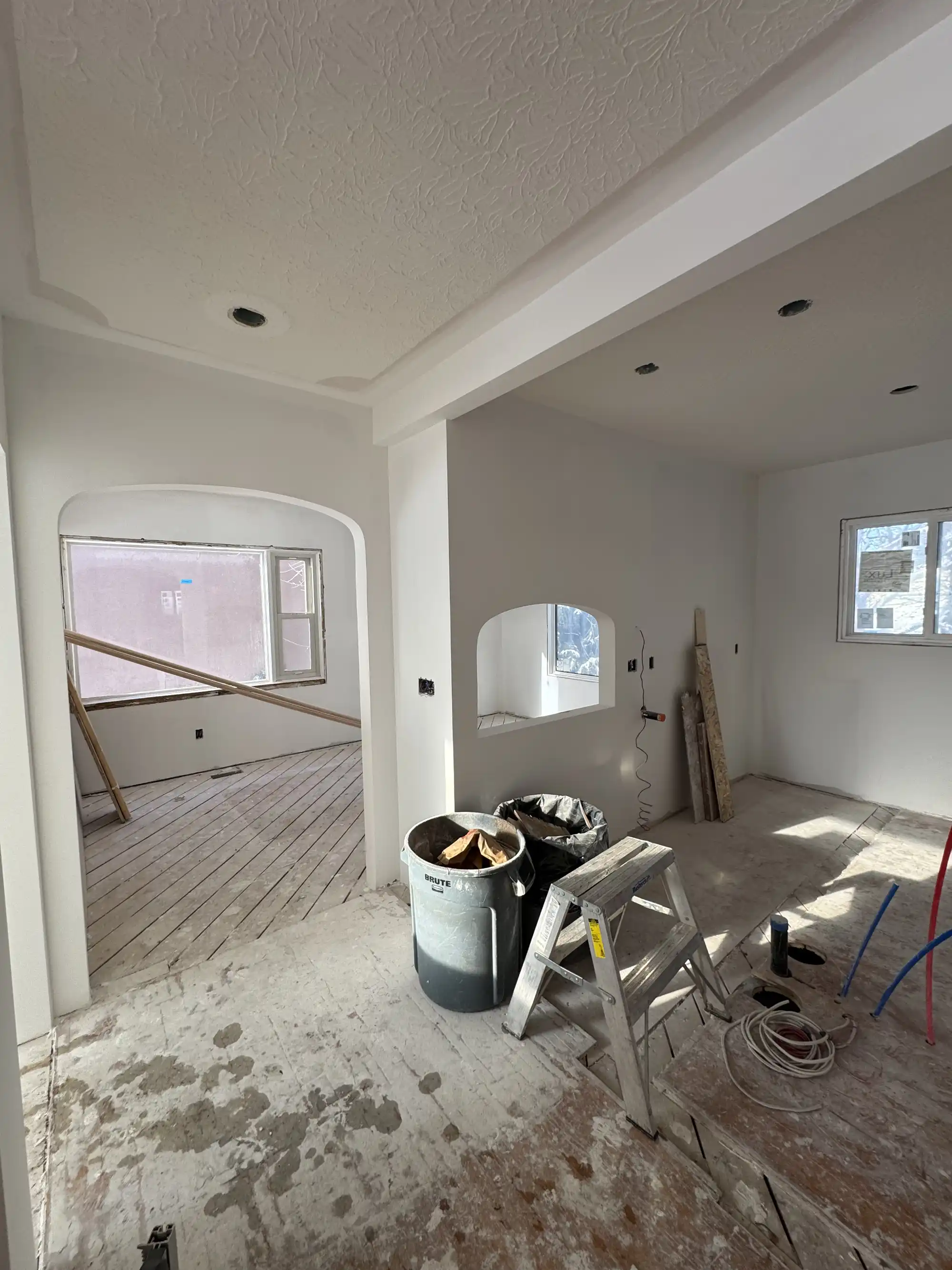 Large Scale Renovation project image 6